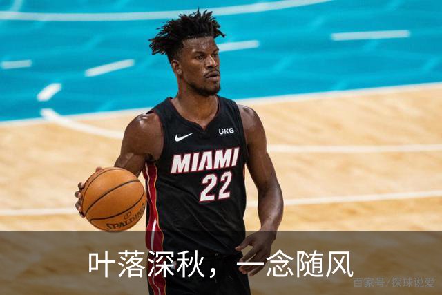 叶落深秋，一念随风