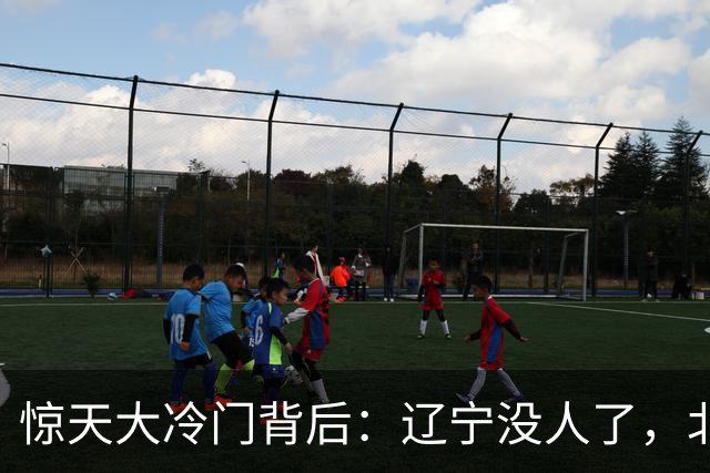惊天大冷门背后：辽宁没人了，北京不敢动，杨鸣和李楠都在演戏？